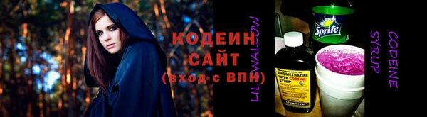 прущие грибы Инсар
